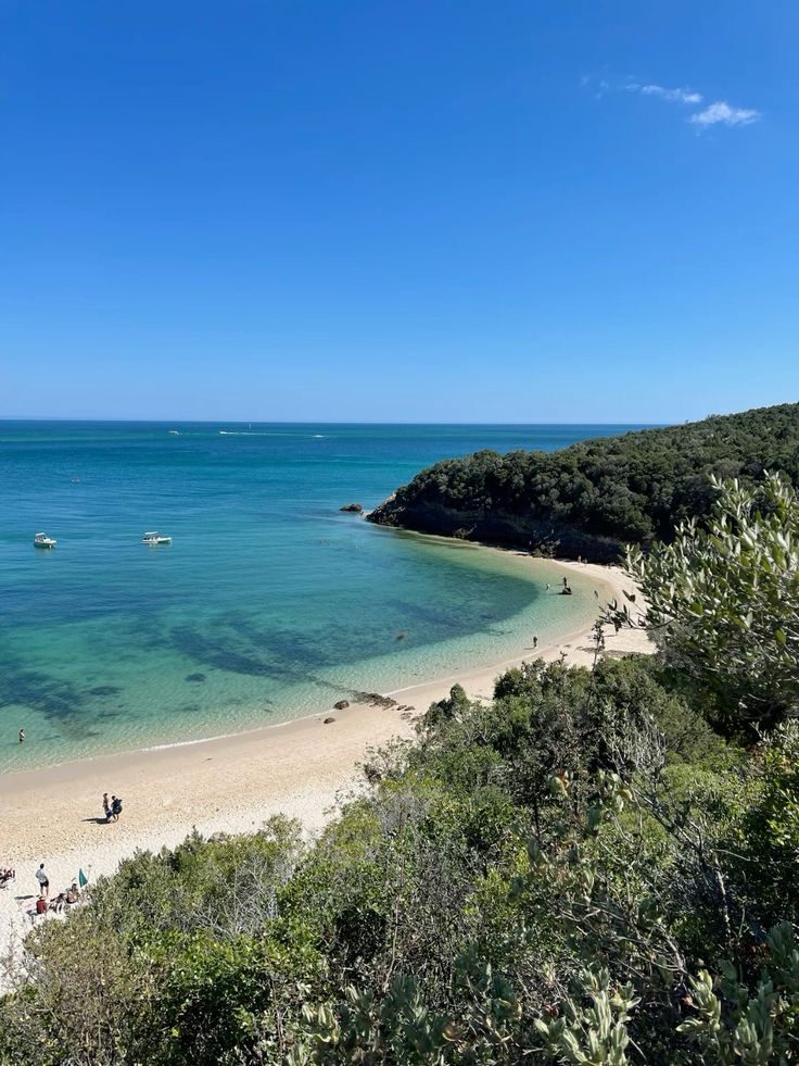 Praia da Arrábida com água turquesa e mata mediterrânica